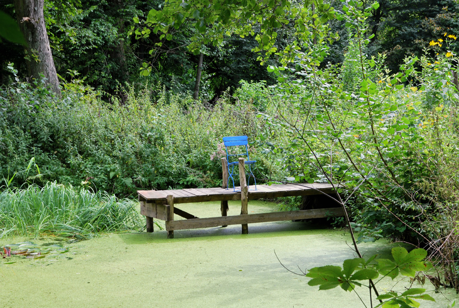 Platz im Teich