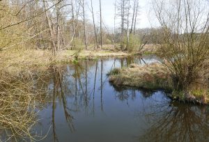 Windungsreicher Bahcverlauf