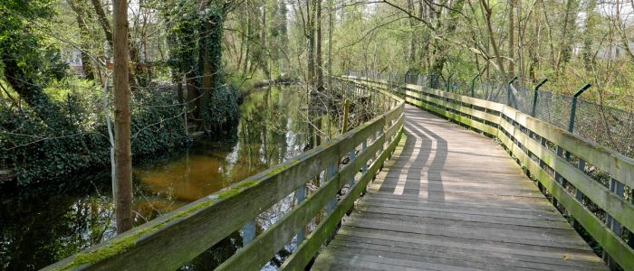 Holzbohlwenweg am Tegeler Fließ