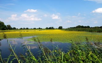 Fischteich an der Blumberger Mühle