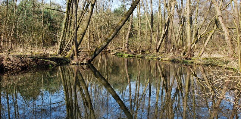 Löcknitztal