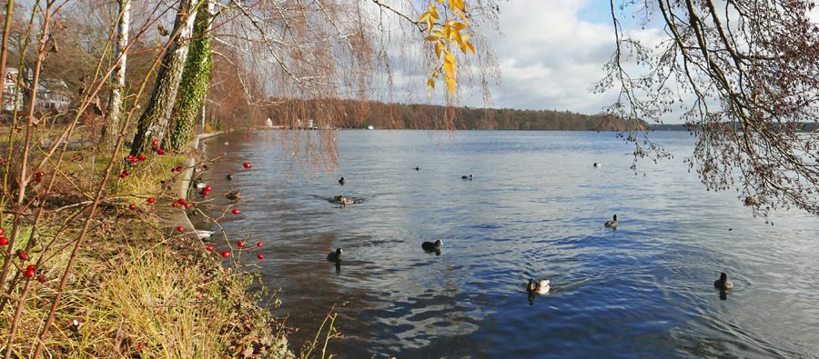 Wendenschloss