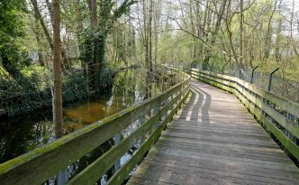 Holzbohlwenweg am Tegeler Fließ