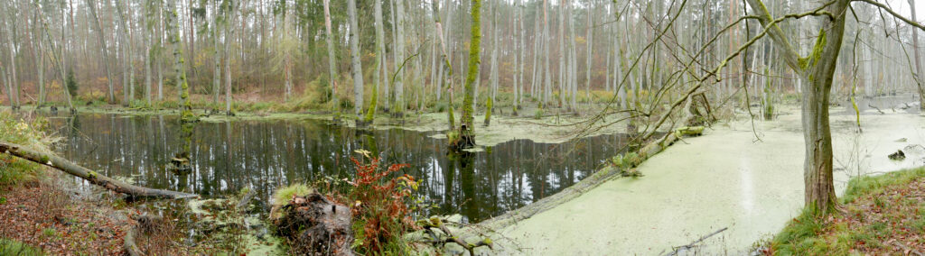 Stausee an der Schlagbrücke