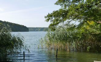 Tornowsee Durchblick, Ruppiner Schweiz